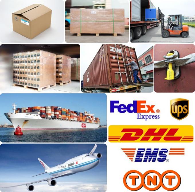 DE08 D1146 Gaskets voor de cilinderkop van een graafbustruck 65.03901-0070 400603-00119 65.03901-0058 18